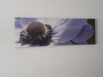 Bloem op canvas beschikbaar voor biedingen