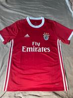Maillot Benfica domicile  saison 2019-2020, Sports & Fitness, Football, Maillot