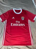 Benfica thuisshirt seizoen 2019-2020, Shirt, Ophalen of Verzenden