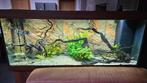 Juwel Aquarium 150 * 50, Dieren en Toebehoren, Ophalen, Zo goed als nieuw, Gevuld zoetwateraquarium