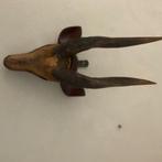 Gewei gemonteerd op houten kop, Antiek en Kunst, Ophalen of Verzenden