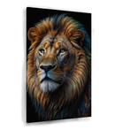 Gezicht van een Rustige Leeuw in Kleur canvas 60x90cm - 18m, Huis en Inrichting, Woonaccessoires | Wanddecoraties, Nieuw, Verzenden