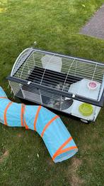 Kooi voor konijn of cavia + eten, Ophalen, Gebruikt, Kooi, Cavia
