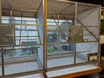 Cage d'élevage en vol, Animaux & Accessoires, Enlèvement, Comme neuf