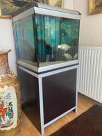 AQUARIUM FERPLAST + MEUBELSTUK + POMP COMPLEET, Ophalen