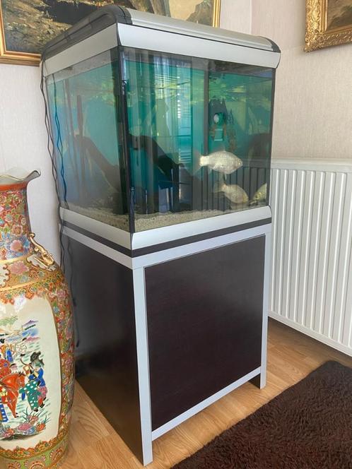 AQUARIUM FERPLAST + MEUBELSTUK + POMP COMPLEET, Dieren en Toebehoren, Vissen | Aquaria en Toebehoren, Ophalen