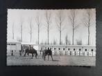 Tongerlo Ruiterijschool Paard cheval, Collections, Envoi, 1940 à 1960, Non affranchie, Anvers