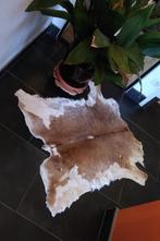 Echte kalfshuid / mini koevel, bruin crême, 50 tot 100 cm, Crème, Overige vormen, 50 tot 100 cm