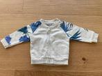 Gilet avec tirette JBC, Kinderen en Baby's, Babykleding | Maat 62, Jongetje, Zo goed als nieuw, Truitje of Vestje, JBC