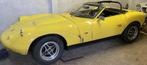 Ginetta G4S4 Ford 2000 OHC, Auto's, Cabriolet, Handgeschakeld, Particulier, 2 deurs