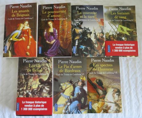 Cycle de Tristan de Castelreng - Pierre Naudin - 7 volumes, Boeken, Romans, Zo goed als nieuw, Europa overig, Ophalen