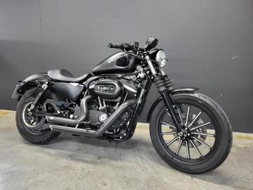 Harley-Davidson Iron 883 (bj 2013) beschikbaar voor biedingen