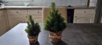 2 namaak kerstboompjes, Ophalen of Verzenden, Nieuw