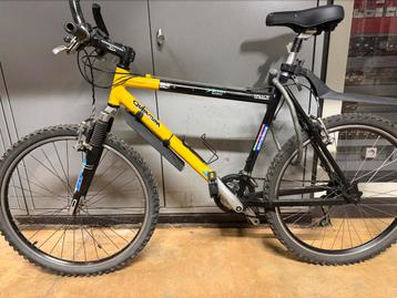 Quantum Mountainbike beschikbaar voor biedingen