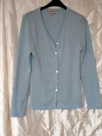 Lichtblauwe damesgilet met lurex;maat:40., Kleding | Dames, Maat 38/40 (M), Blauw, Dotts, Ophalen of Verzenden