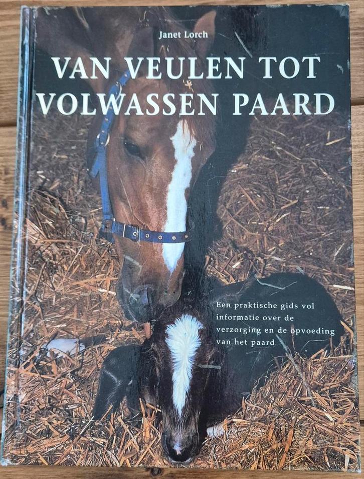 Van veulen tot volwassen paard, Boeken, Dieren en Huisdieren, Gelezen, Ophalen