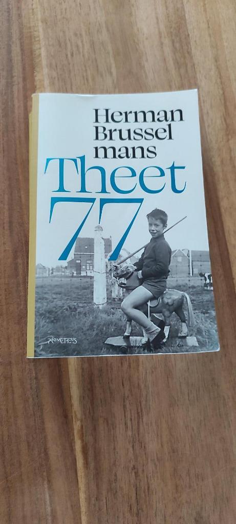 Boek "Theet77" van Herman Brusselmans., Boeken, Avontuur en Actie, Zo goed als nieuw, Ophalen of Verzenden