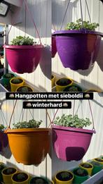 assortiment bloempotten, Tuin en Terras, Ophalen, Zo goed als nieuw