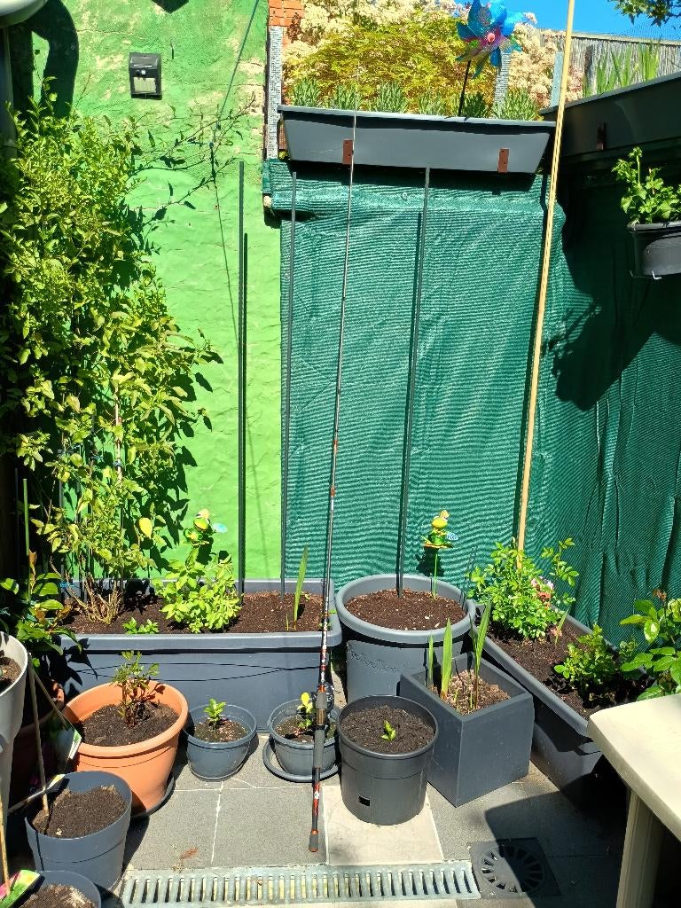 WERP HENGEL, Watersport en Boten, Hengelsport | Witvissen, Ophalen, Zo goed als nieuw, Werphengel