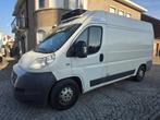 FIAT DUCATO 3.0d, Autos, Camionnettes & Utilitaires, Euro 5, Achat, Entreprise, Diesel