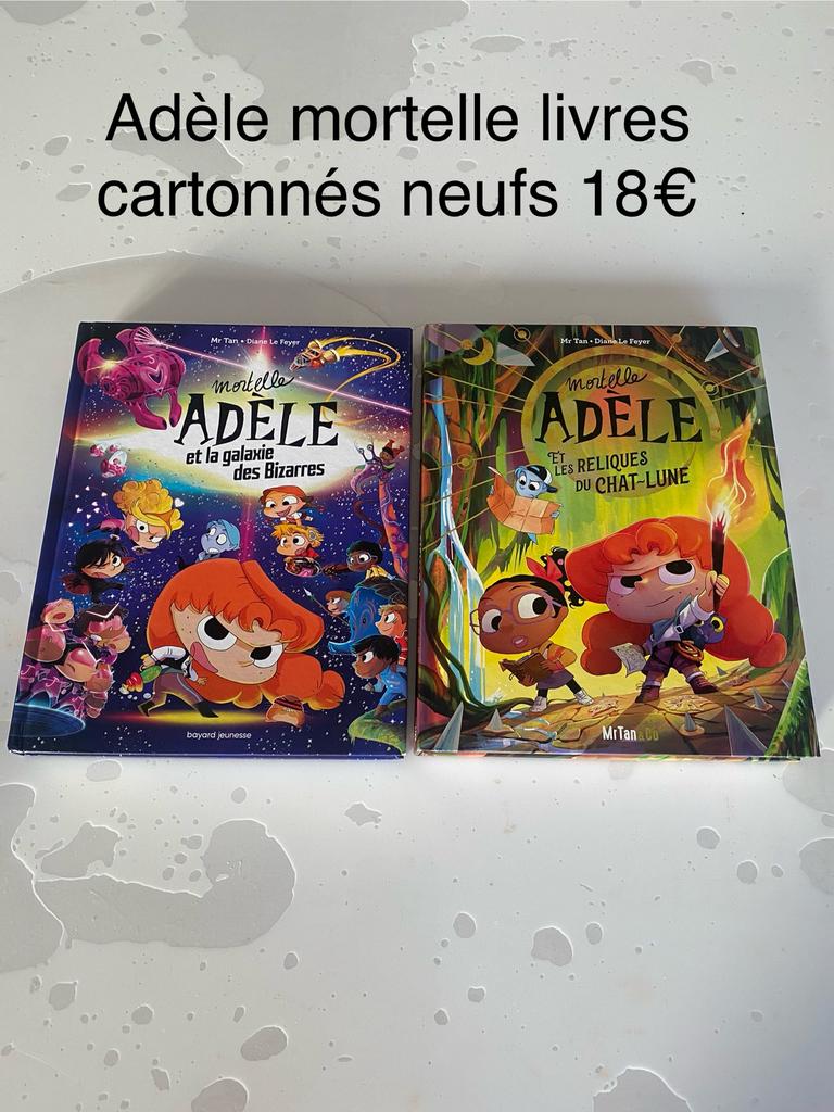 Livres carrtonnes Adèle Mortelle le lot neuf, Ophalen of Verzenden, Zo goed als nieuw