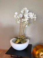 Prachtige pot met levensechte kunstorchidee, Enlèvement, Comme neuf, Intérieur