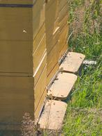 Buckfast bijen 6 ramer, Ophalen