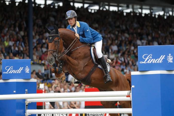 Diepvriessperma springhengsten te koop!, Animaux & Accessoires, Chevaux & Poneys | Étalons & Juments poulinières, Étalon