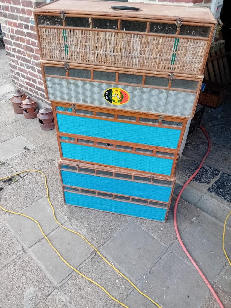 Paniers pigeons duiven  duivenmanden duivenkorven