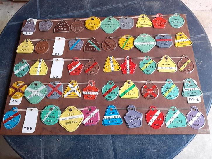 Speciale fetsplaten taksplaten West-Vl strandkarren, tandem, Verzamelen, Overige Verzamelen, Gebruikt, Verzenden