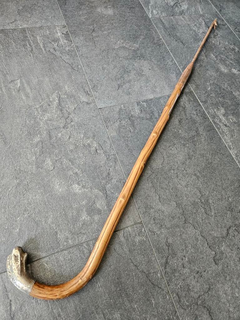 Unieke Wandelstok harpoen 19e eeuw, Ophalen of Verzenden