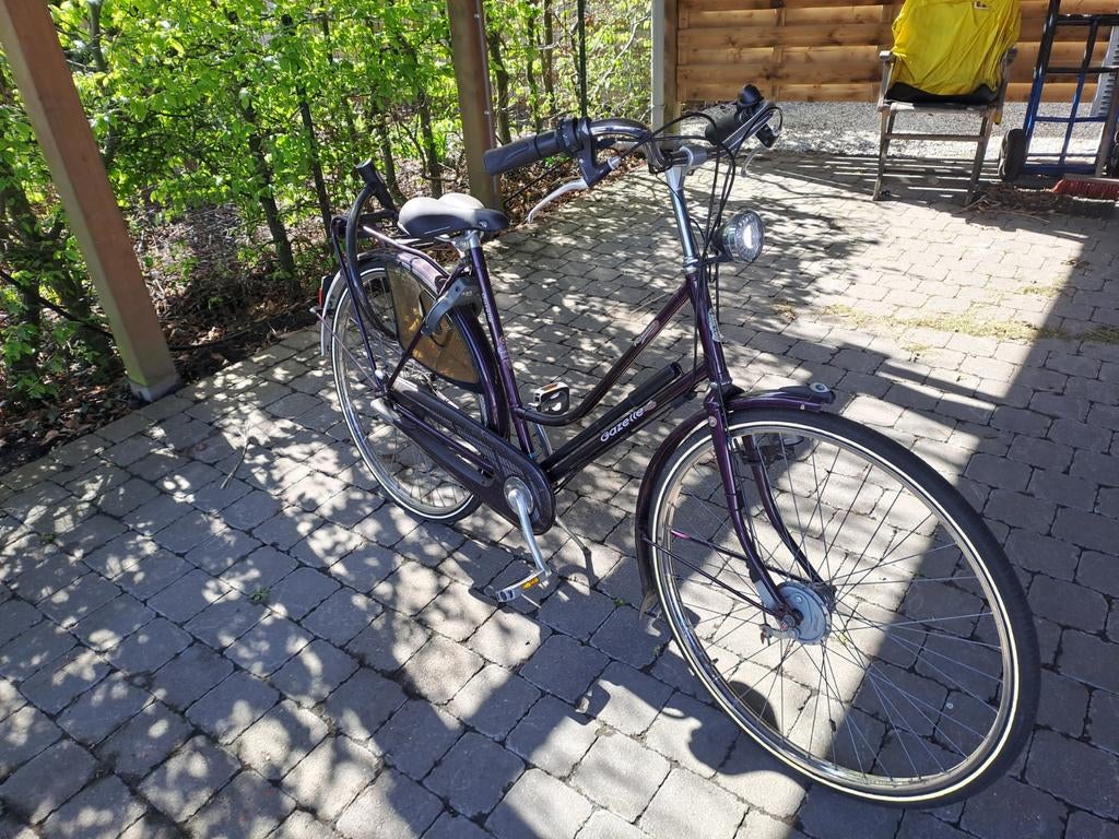 Mooie  dames fiets, Enlèvement