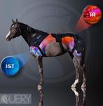 Equery toestel 2 de hands