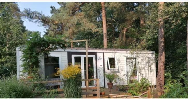 sta caravan, Caravanes & Camping, Caravanes résidentielles, jusqu'à 4, Enlèvement