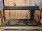 Aquarium, Animaux & Accessoires, Enlèvement, Utilisé, Aquarium vide