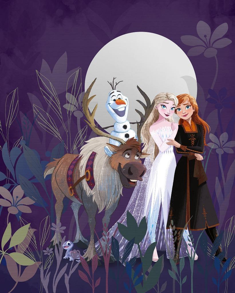 Disney Frozen Vlies Behang - 200x250 cm - Gratis Verzending, Ophalen of Verzenden, Nieuw, Wanddecoratie