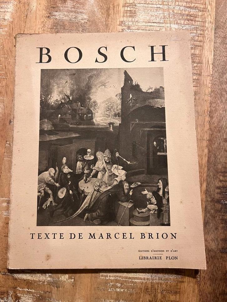 Bosch - Texte de Marcel Brion, Livres, Art & Culture | Arts plastiques, Utilisé, Peinture et dessin, Enlèvement ou Envoi