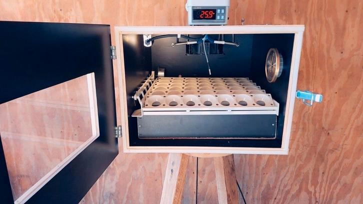 Broedmachine, Dieren en Toebehoren, Pluimvee | Toebehoren, Broedmachine, Ophalen of Verzenden