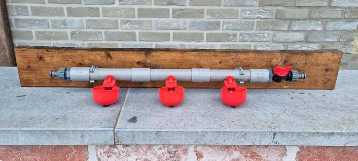 Drinksysteem voor kippen, Dieren en Toebehoren, Pluimvee | Toebehoren, Zo goed als nieuw, Drinken en Voederen, Ophalen