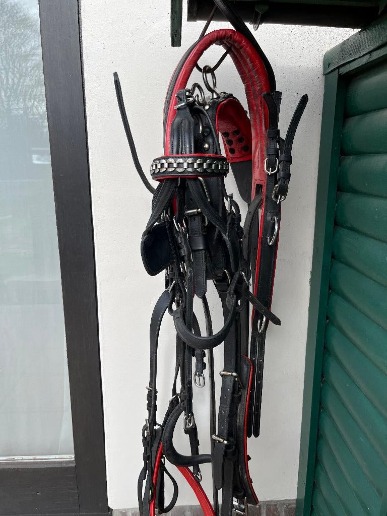 paardentuig shetlander, Dieren en Toebehoren, Ophalen, Zo goed als nieuw, Overige soorten