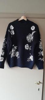 Zwarte pull met zilverkleurige palletjes Vicbee TU, Kleding | Dames, Ophalen of Verzenden