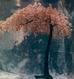 Japanse sakura kunstboom 2,3m, Huis en Inrichting, Ophalen, Nieuw