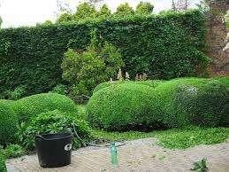 Tuinonderhoud, Ophalen, Nieuw