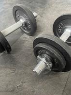 Tunturi gietijzeren dumbbells 2x10kg – goede staat, Sport en Fitness, Fitnessmaterialen, Ophalen, Zo goed als nieuw, Benen, Dumbbell