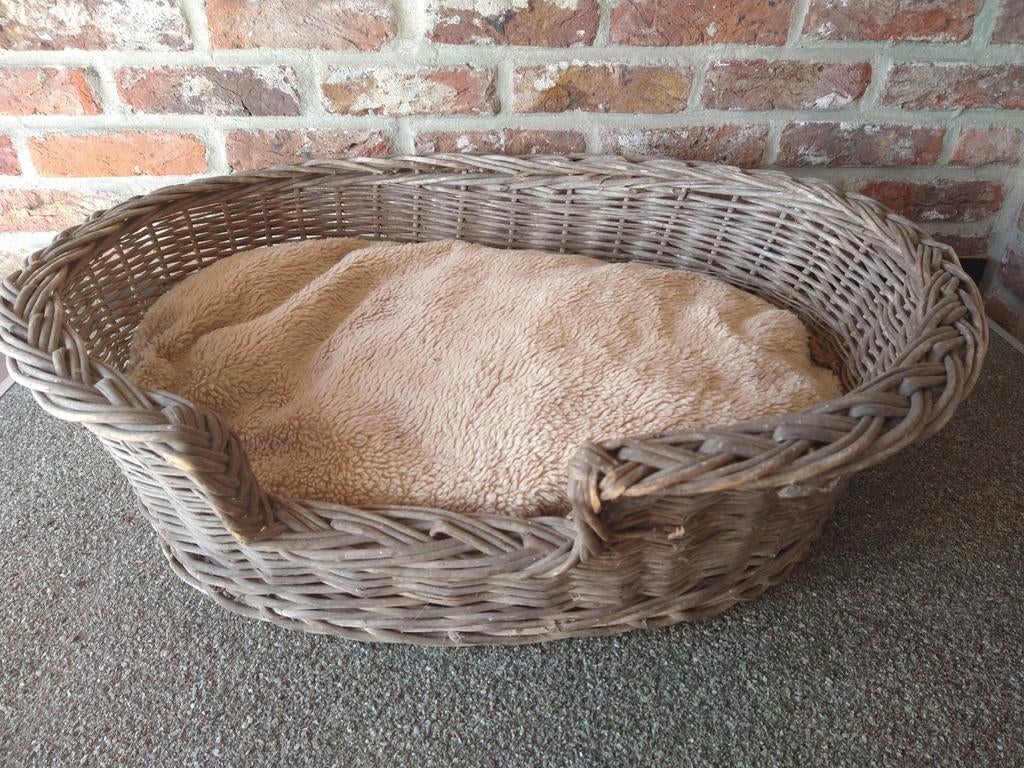 Panier pour chien ou chat avec oreiller, Animaux & Accessoires, Enlèvement