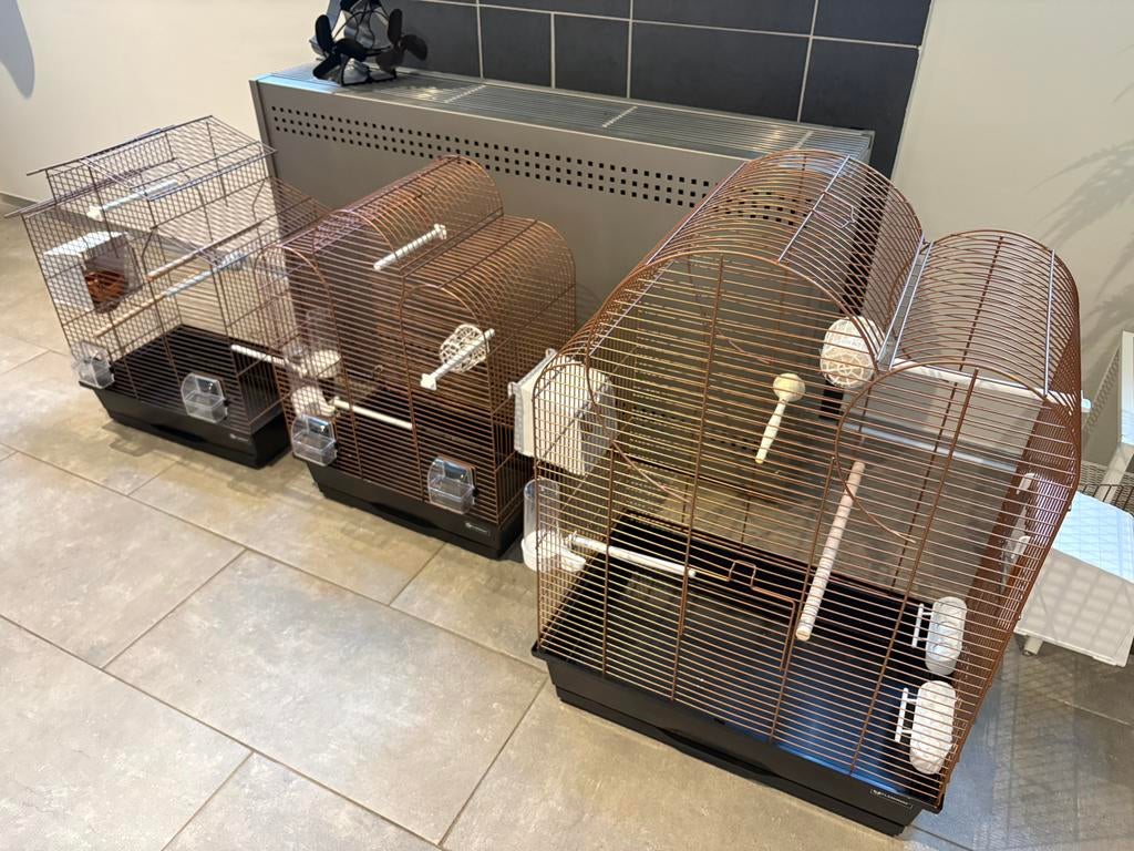 3 mooie kanarie kooien met toebehoren, Enlèvement