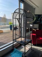 Prachtige XXL grote papegaai kooi ., Ophalen of Verzenden, Zo goed als nieuw, Speelgoed