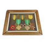 Belgische medailles in kader, Verzamelen, Ophalen of Verzenden, Landmacht, Lintje, Medaille of Wings