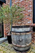 Authentieke Eiken Wijnvat / Decoratie Ton met Houten Hoepels, Ophalen