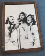 Kader spiegel Bee Gees, Enlèvement, Utilisé